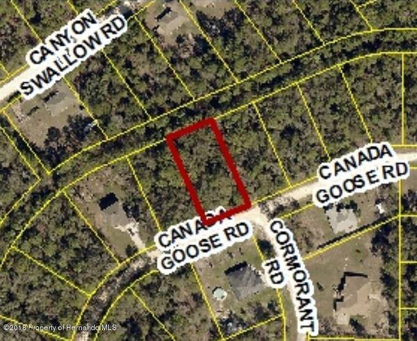 0 Canada Goose Road, Weeki Wachee, FL 34614