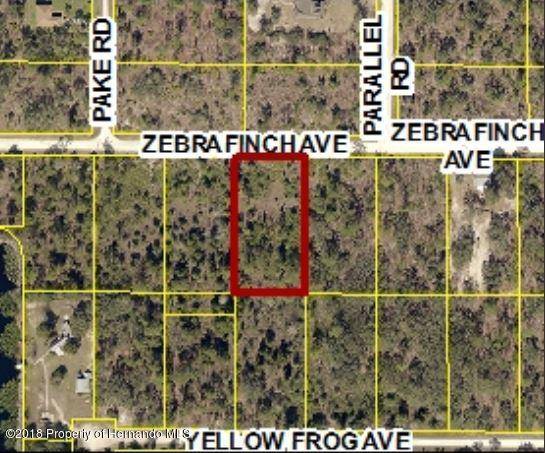 0 Zebrafinch Avenue, Weeki Wachee, FL 34614