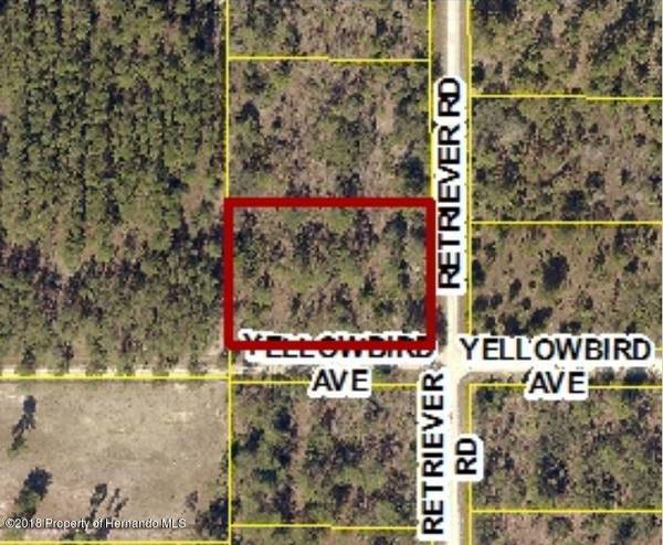 0 Retriever Road, Weeki Wachee, FL 34614