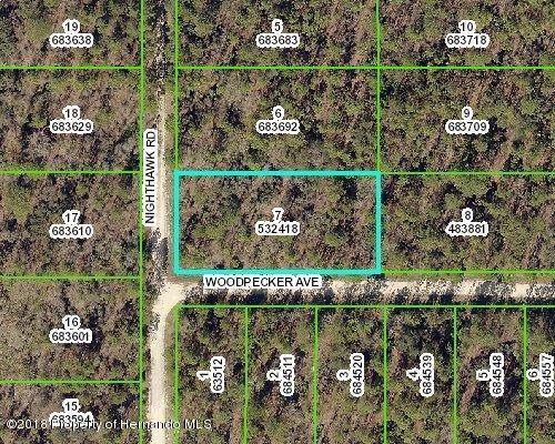 17468 Nighthawk Road, Weeki Wachee, FL 34614