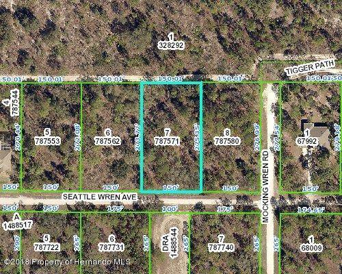 0 Seattle Wren Avenue, Weeki Wachee, FL 34614