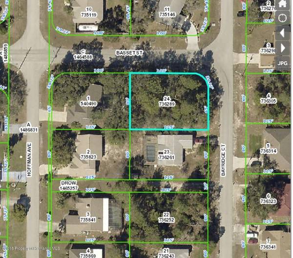 Lot 24 Bayridge Court, Spring Hill, FL 34606