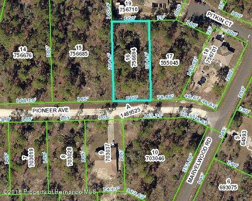 00 Pioneer Avenue, Weeki Wachee, FL 34614