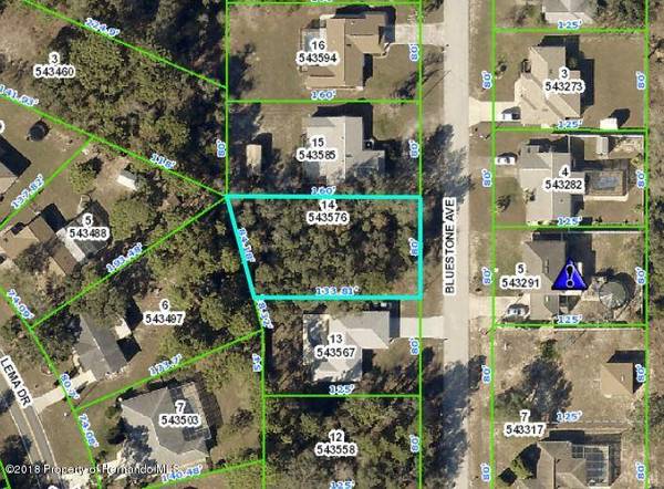 Lot 14 Bluestone Avenue, Spring Hill, FL 34609