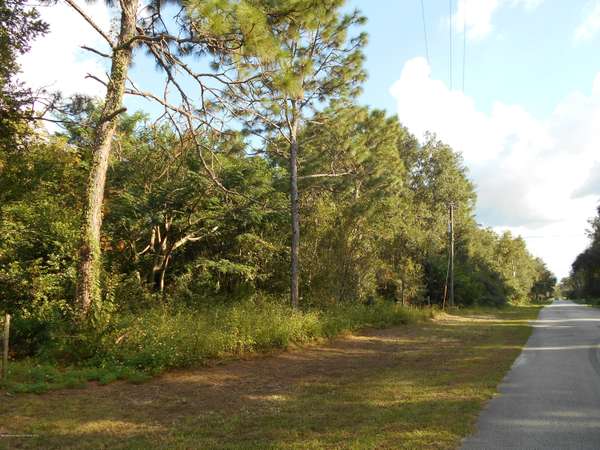 0 Cresap, Brooksville, FL 34613