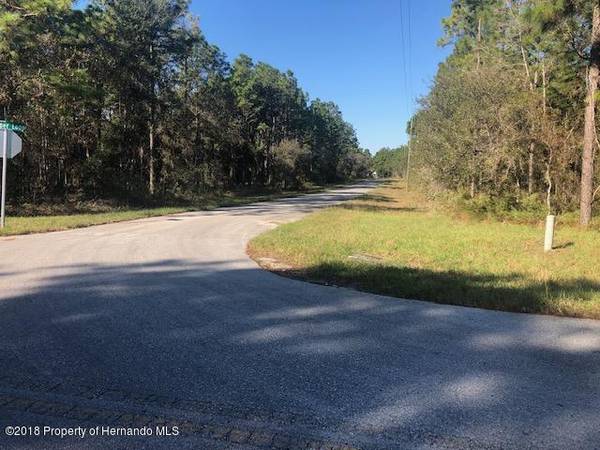 0 Jumper Loop (Divine Lot 15), Brooksville, FL 34609