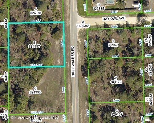 8079 Nightwalker Road, Weeki Wachee, FL 34613