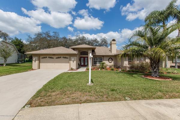 11009 Audie Brook Drive, Spring Hill, FL 34608