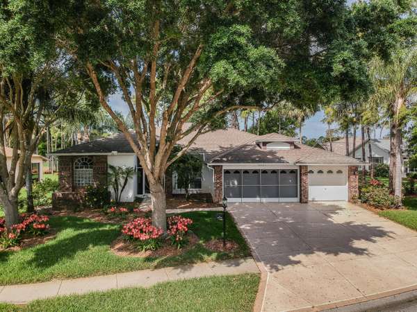 18449 Clearcreek Court, Hudson, FL 34667