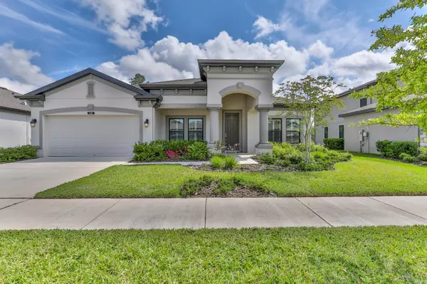 8320 Bluevine Sky Drive, Land O' Lakes, FL 34637