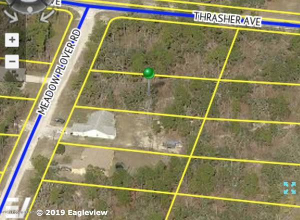 0 Meadow Plover Road, Weeki Wachee, FL 34614