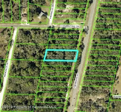 00 Treiman Boulevard, Webster, FL 33597