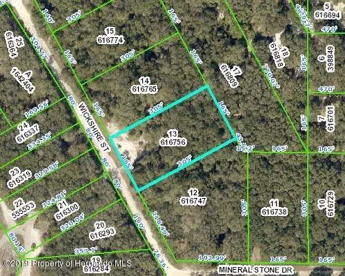 0 Wickshire Street, Webster, FL 33597