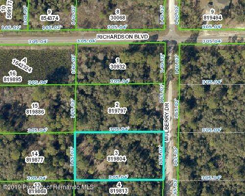 lot3 Mulberry Drive, Webster, FL 33597