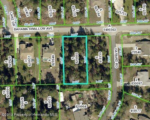 0 Bahama Awallow Avenue, Weeki Wachee, FL 34613