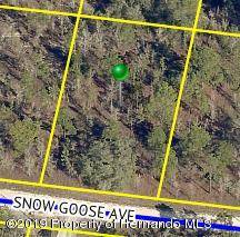 Lot 15 Snow Goose Avenue, Weeki Wachee, FL 34614