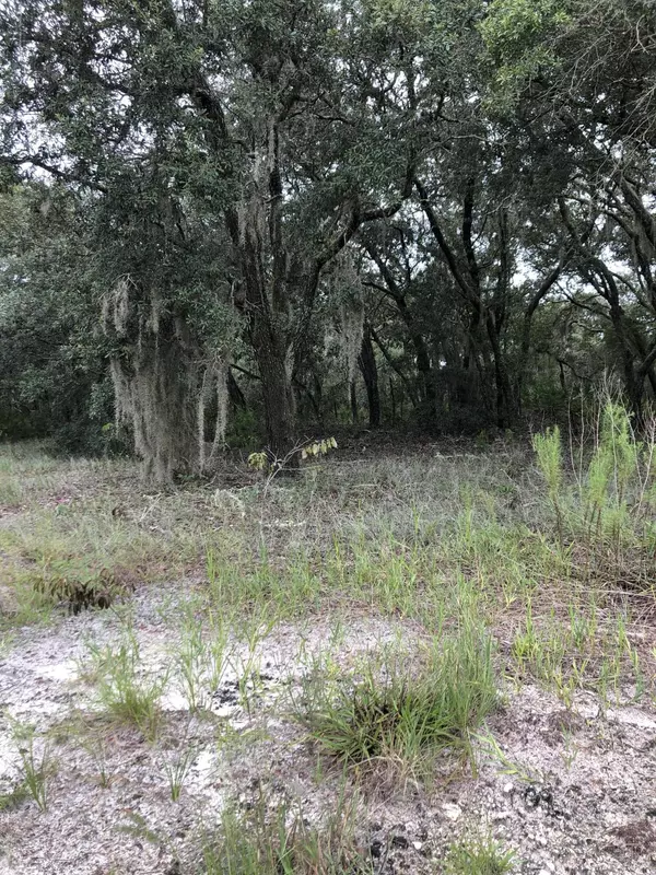 Spring Hill(pasco), FL 34610,0 Saddleback Trail