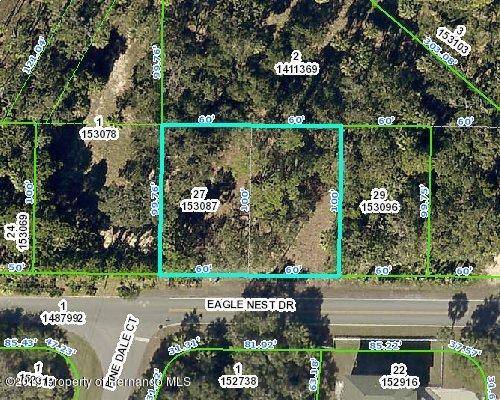 4051 Eagle Nest Drive, Hernando Beach, FL 34607