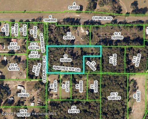 0 Cedar Tree Drive, Brooksville, FL 34602