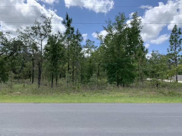 13054 Ruffed Grouse Road, Weeki Wachee, FL 34614