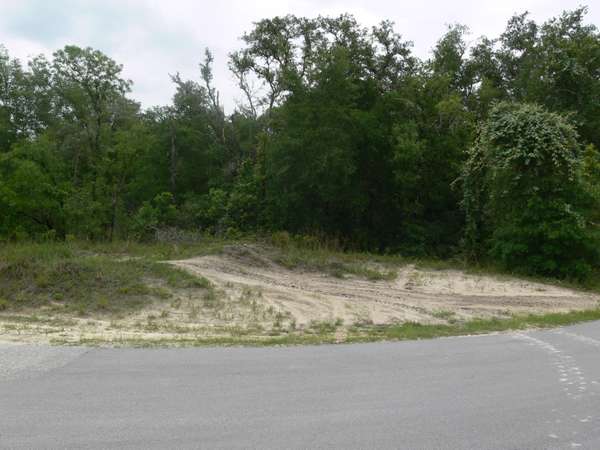 Lot 8 Lewis Lane, Webster, FL 33597