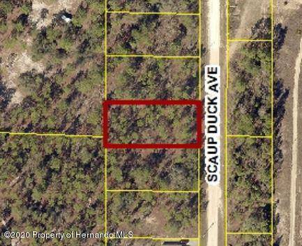 0 Scaup Duck Avenue #Lot 8, Weeki Wachee, FL 34614