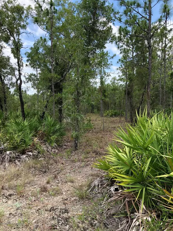 Weeki Wachee, FL 34614,0 Thrasher Avenue