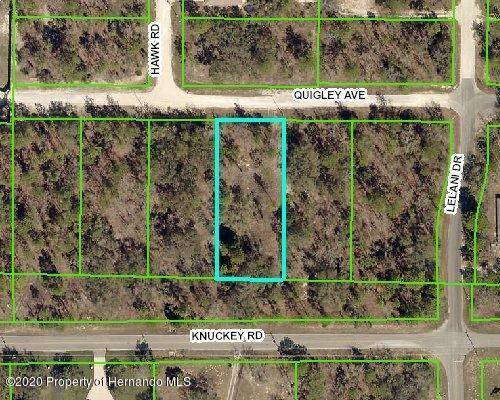 12290 Quigley Avenue, Weeki Wachee, FL 34614