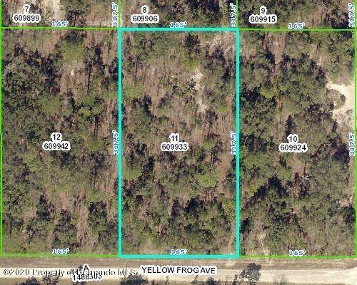 0 Yellow Frog Avenue, Weeki Wachee, FL 34614