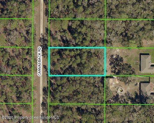 15126 Canvasback Road, Weeki Wachee, FL 34614