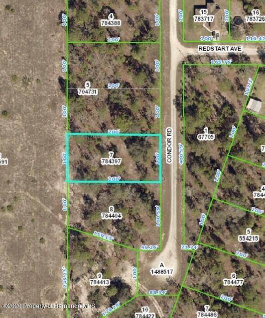 0 Condor Road, Weeki Wachee, FL 34614