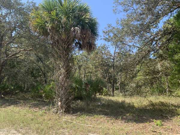 0 Yellowbird, Weeki Wachee, FL 34614