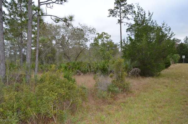 Lot 7 Rydal Road, Weeki Wachee, FL 34614