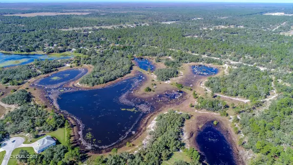 Weeki Wachee, FL 34613,0 Tooke Lake (11.6 acres MOL) Boulevard