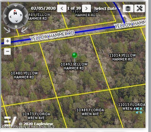 10492 YELLOW HAMMER Road, Brooksville, FL 34614