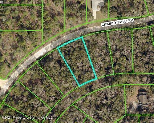 14348 Chimney Swift Road, Weeki Wachee, FL 34614