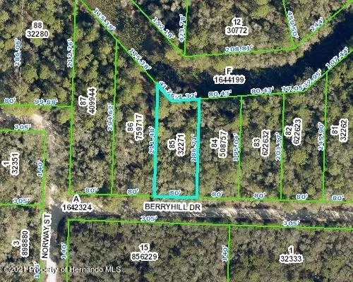 0 Berryhill Drive, Webster, FL 33597