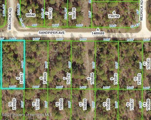 00 Sandpiper Avenue, Weeki Wachee, FL 34614