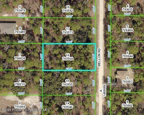 000 Mellon Road, Weeki Wachee, FL 34614