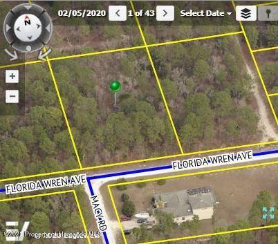 0 Florida Wren Avenue, Weeki Wachee, FL 34614