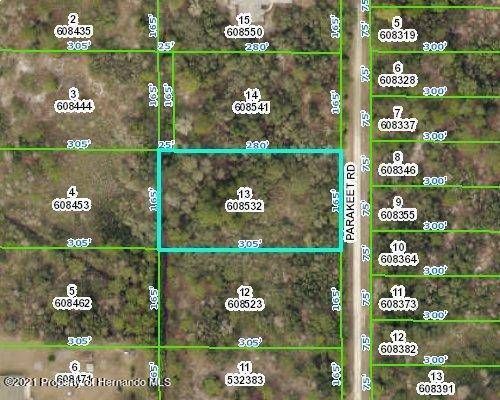 0 Parakeet Road, Weeki Wachee, FL 34614