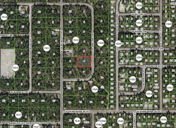 4036 W Abeline Drive, Citrus Springs, FL 34433