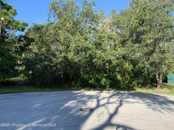 Lot 10 Liberator Court, Spring Hill, FL 34608