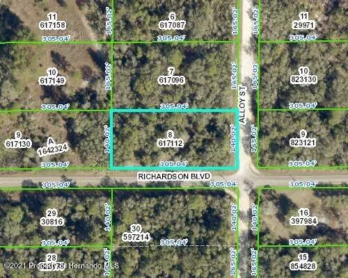 0 Richardson Boulevard, Webster, FL 33597