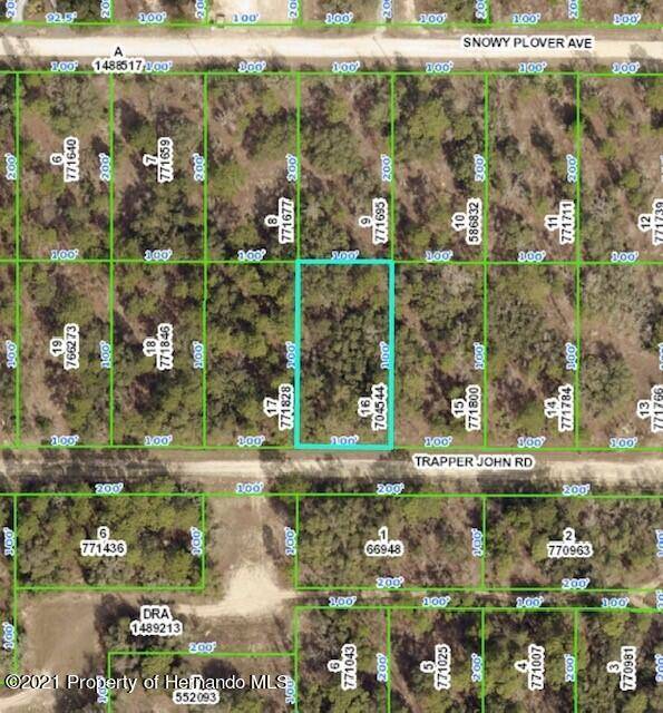 Lot 16 Trapper John Road, Weeki Wachee, FL 34614