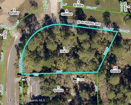 00 Blackbird Avenue, Weeki Wachee, FL 34613