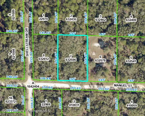 000 Manuel, Webster, FL 33597