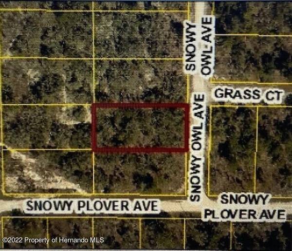 Lot 15 Snowy Owl Avenue, Weeki Wachee, FL 34614