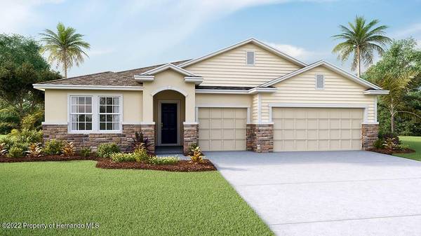 3525 Autumn Amber Drive, Spring Hill, FL 34609