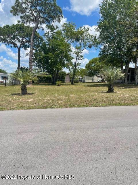 00 Dehaven Avenue #1, Brooksville, FL 34613